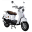 chosen-scooter-model
