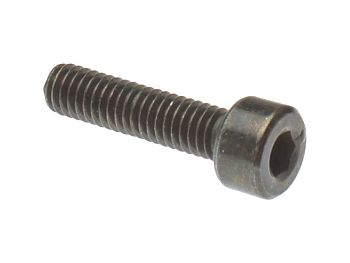 Fuel ring ring screw - original