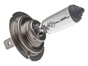 Headlight bulb - H7 / PX26D 12V, 55W